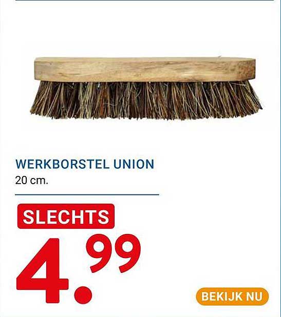WERKBORSTEL UNION 20 cm.