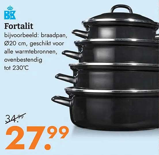 Fortalit bijvoorbeeld: braadpan, Ø20 cm, geschikt voor alle warmtebronnen, ovenbestendig tot 230°C