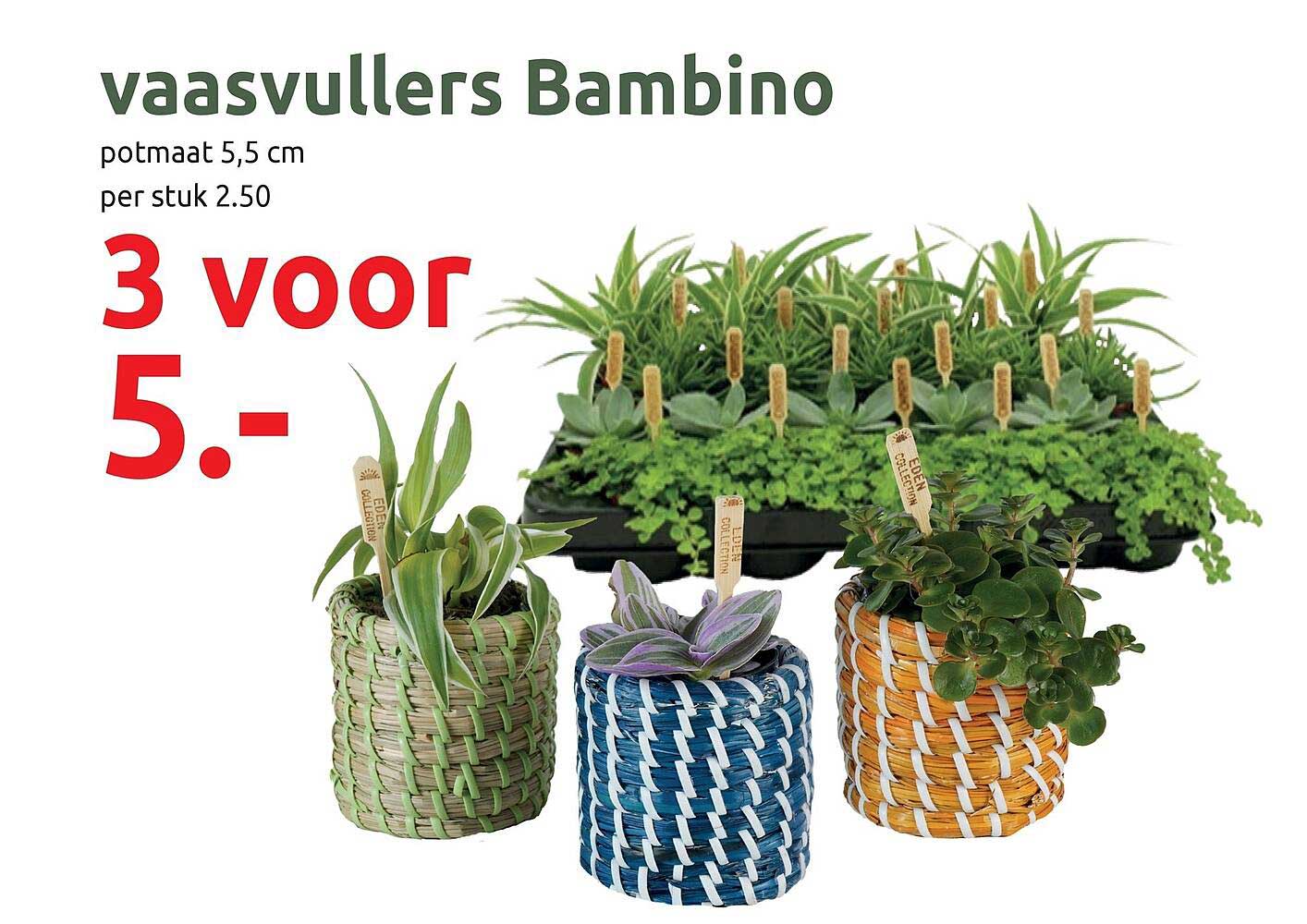 vaasvullers Bambino potmaat 5,5 cm