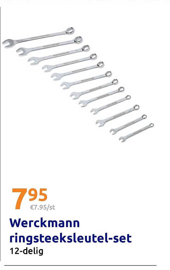 Werckmann ringsteeksleutel-set 12-delig