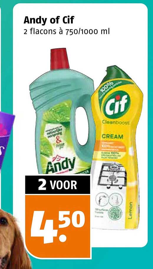 Andy of Cif 2 flacons à 750/1000 ml
