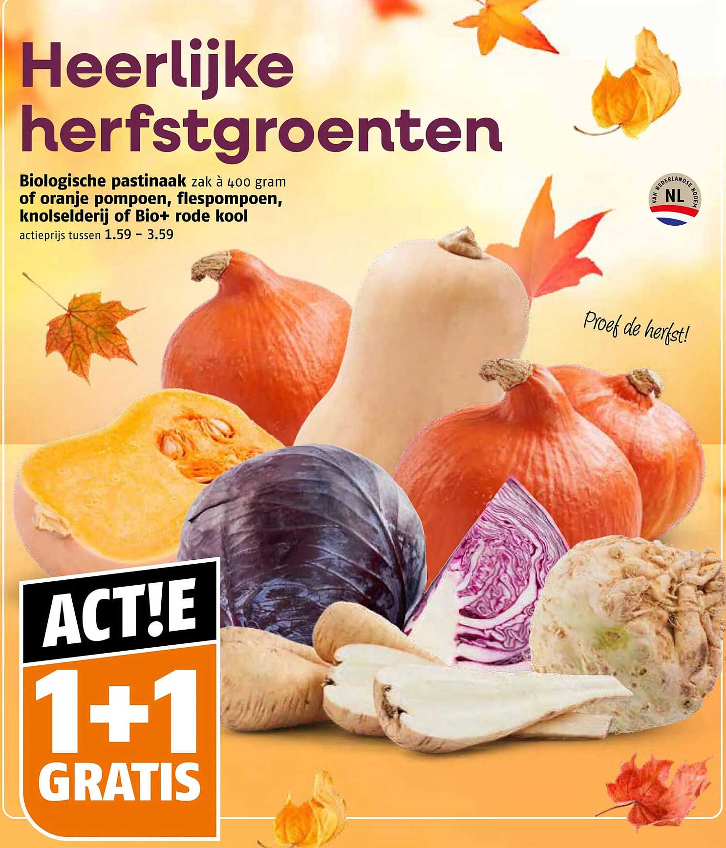Biologische pastinaak zak à 400 gram of oranje pompoen, flespompoen, knolselderij of Bio+ rode kool 1+1 gratis
