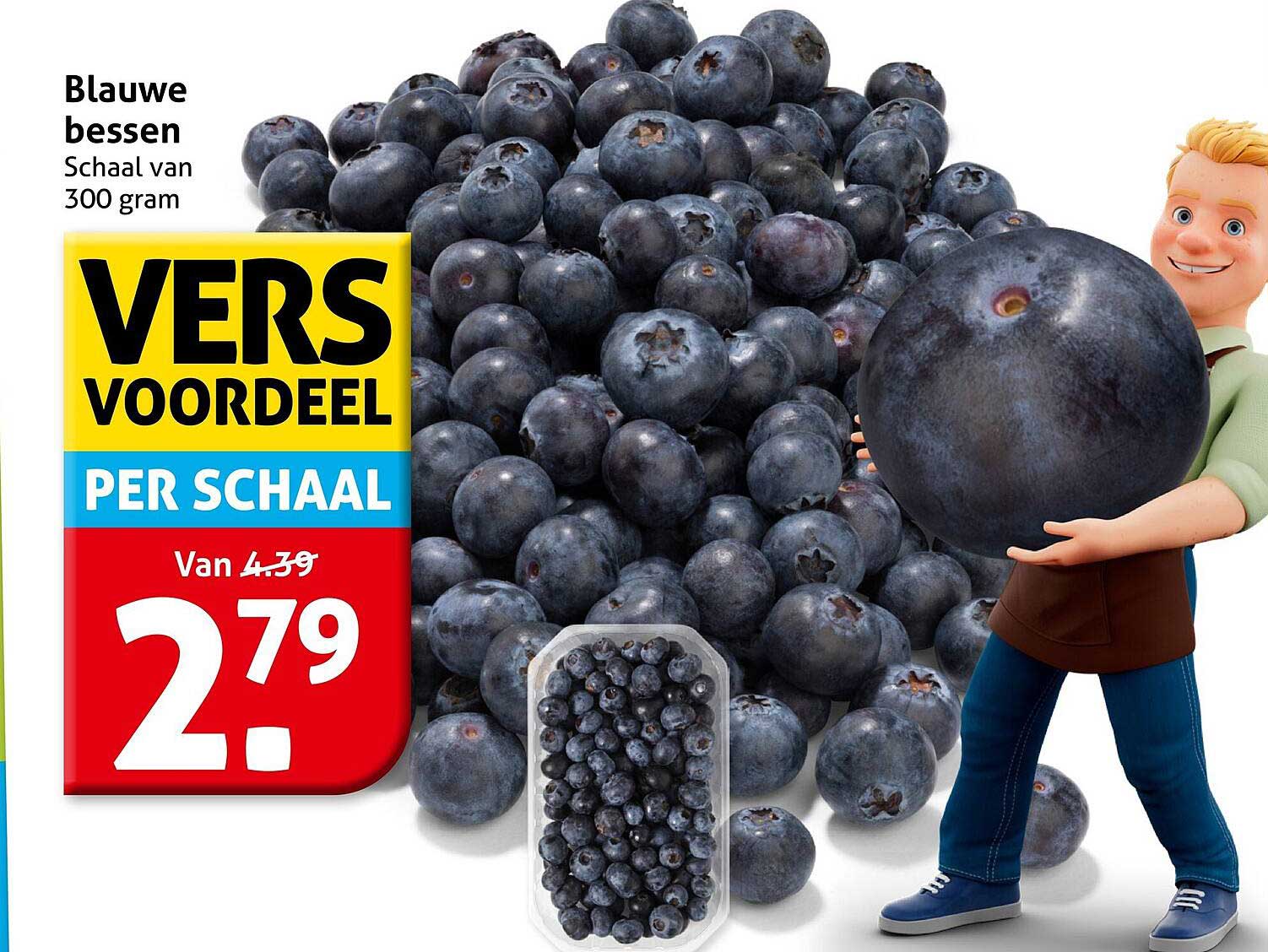 Blauwe bessen Schaalt van 300 gram VERS VOORDEEL PER SCHAAL