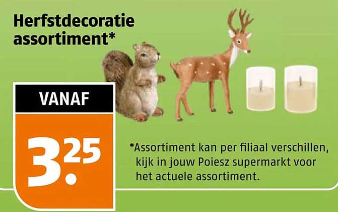 Herfstdecoratie assortiment*