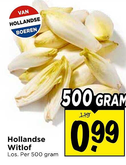 Hollandse Witlof