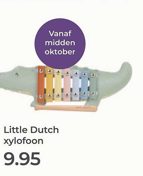 Little Dutch xylofoon