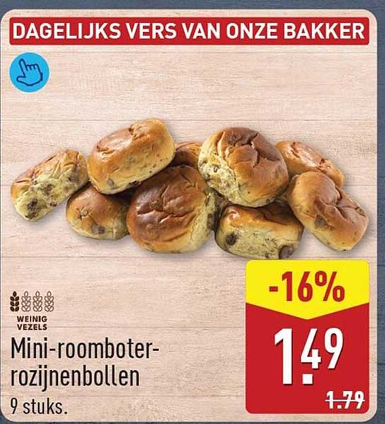 Mini-roomboter-rozijnenbollen 9 stuks -16%