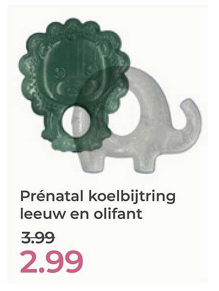 Prénatal koelbijtring leeuw en olifant