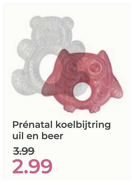 Prénatal koelbijtring uil en beer