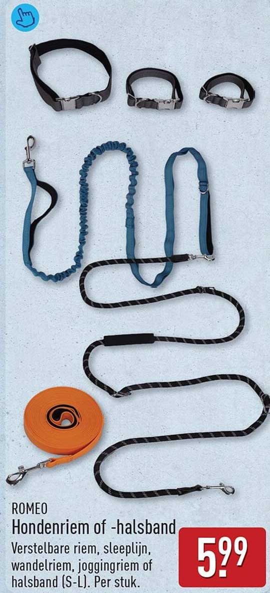 ROMEO Hondenriem of -halsband
