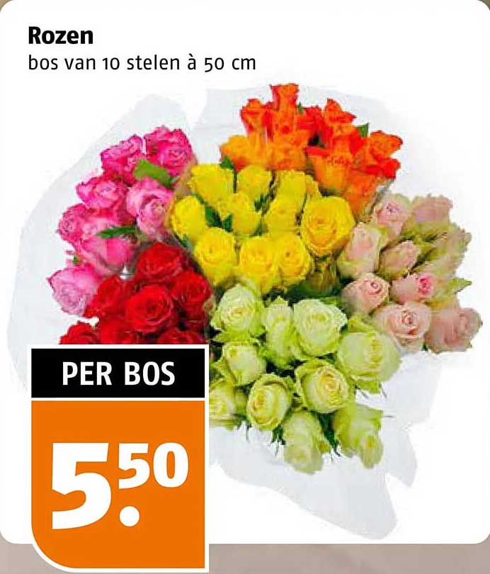 Rozen bos van 10 stelen à 50 cm