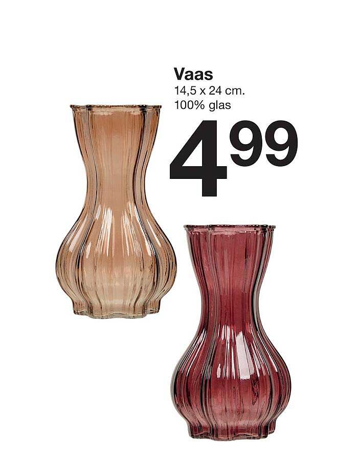 Vaas