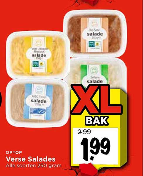 Verse Salades XL BAK
