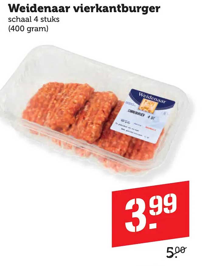 Weidenaar vierkantburger schaal 4 stuks (400 gram)