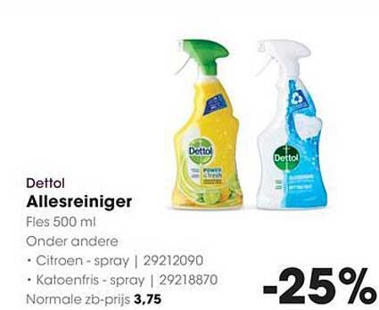 Dettol Allesreiniger