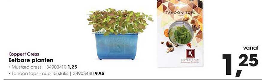 Koppert Cress Eetbare planten
