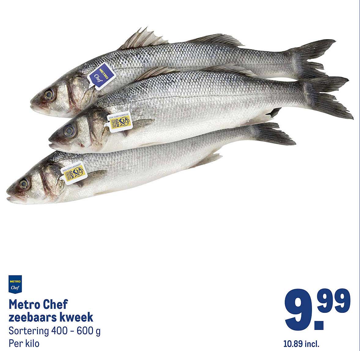 Metro Chef zeebaars kweek