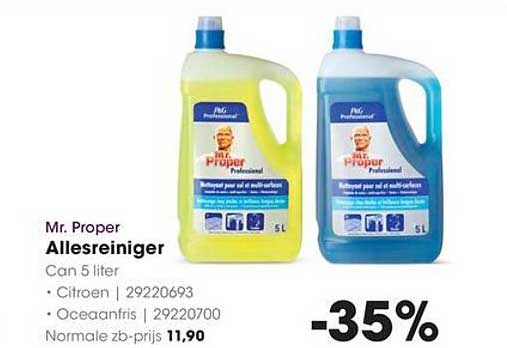 Mr. Proper Allesreiniger