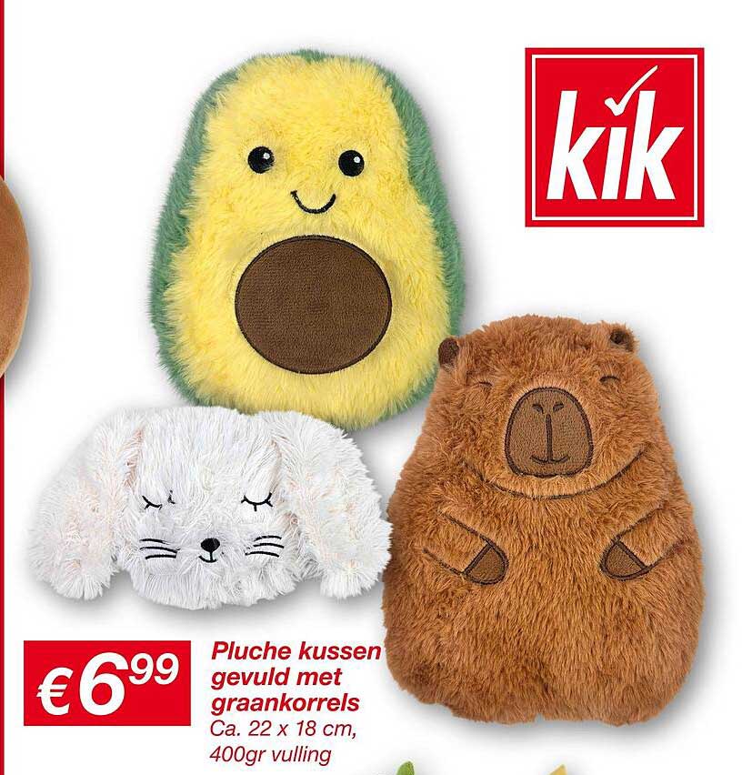 Pluche kussen gevuld met graankorrels