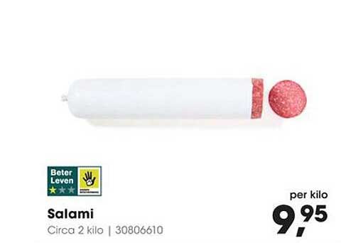 Salami