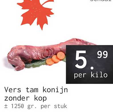 Vers tam konijn zonder kop