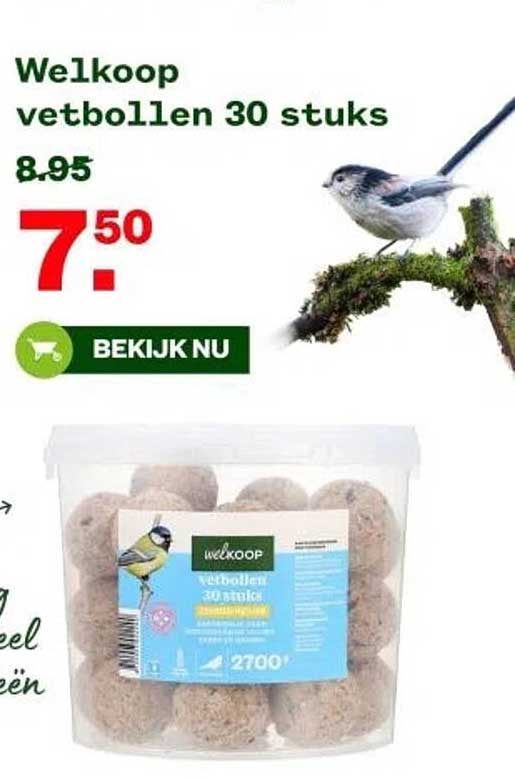 Welkoop vetbollen 30 stuks