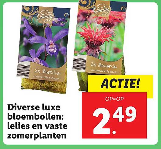 Diverse luxe bloembollen: lelies en vaste zomerplanten