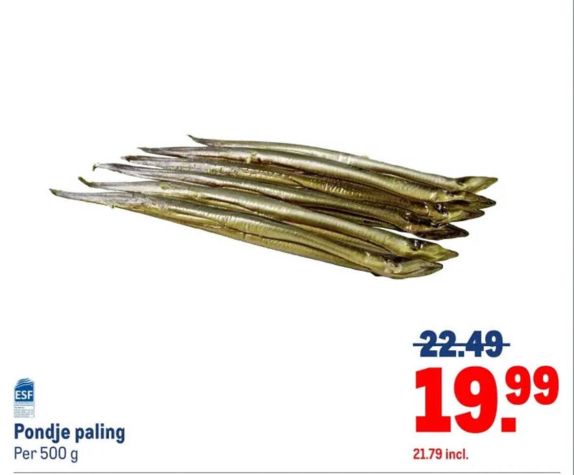 Pondje paling per 500 g