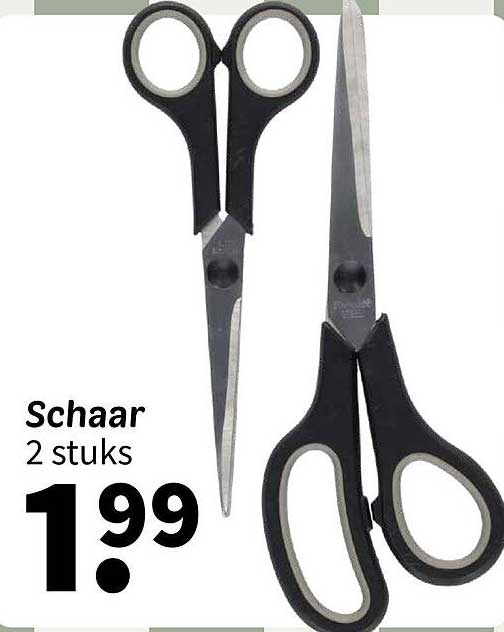 Schaar 2 stuks