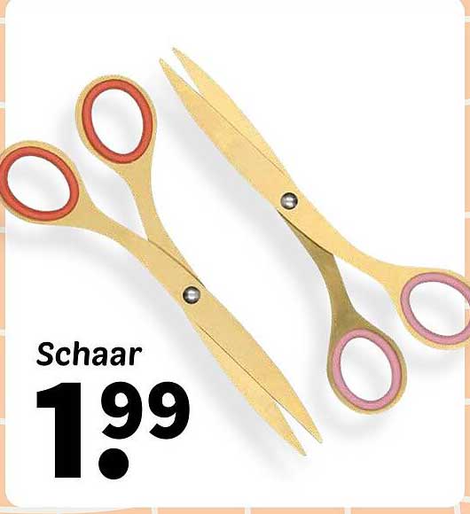 Schaar