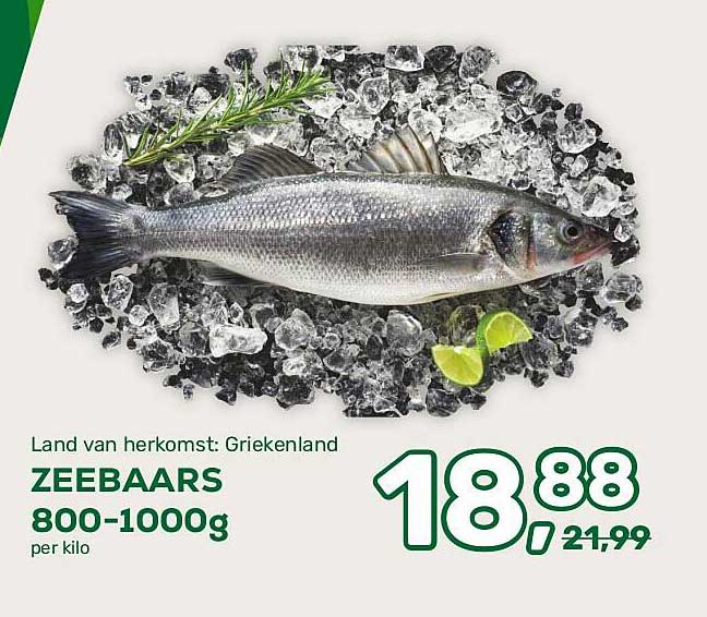 ZEEBAARS 800-1000g per kilo