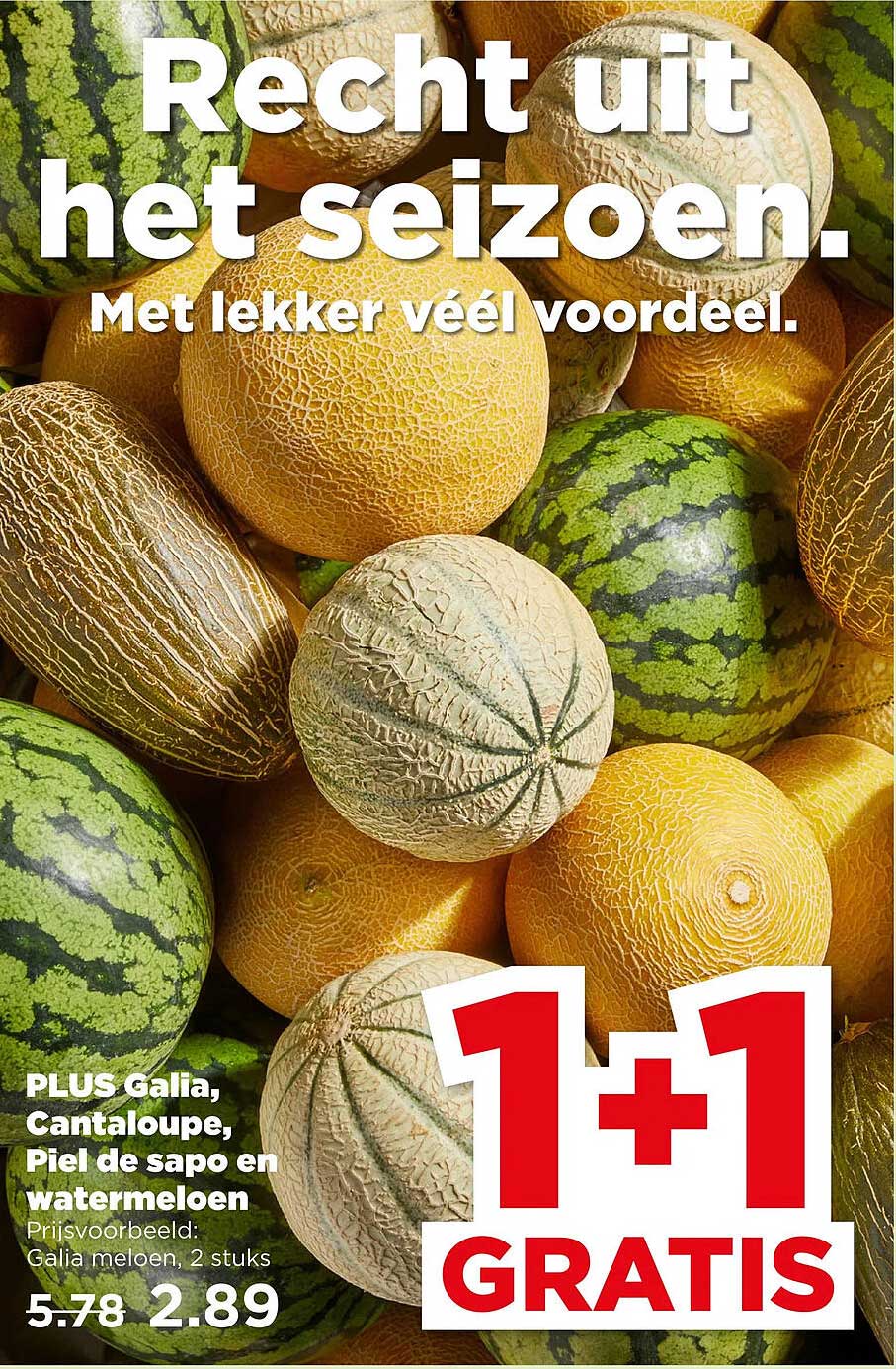 PLUS Galia, Cantaloupe, Piel de sapo en watermeloen 1+1 gratis