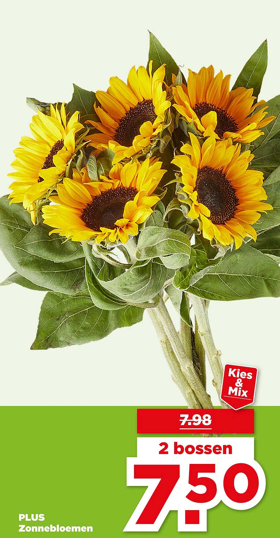 PLUS Zonnebloemen Kies & Mix 2 bossen