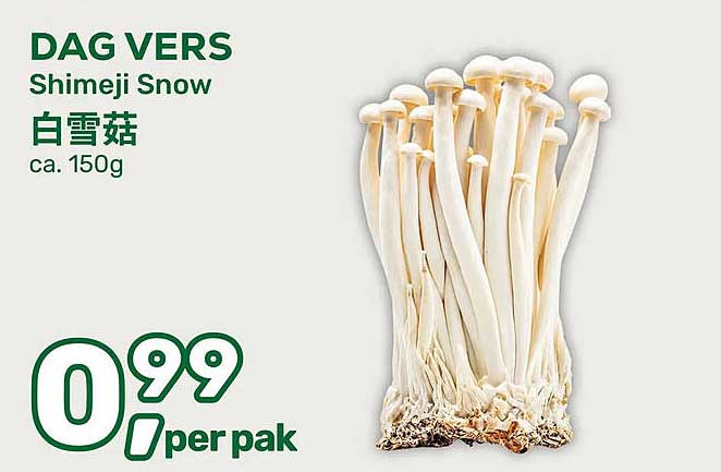 DAG VERS Shimeji Snow 白雪菇 ca. 150g