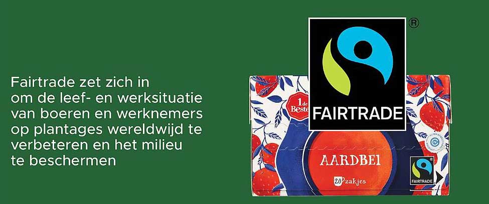 Aardbei Fairtrade 20 zaadjes