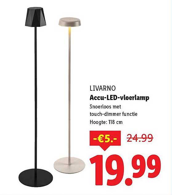 Accu-LED-vloerlamp