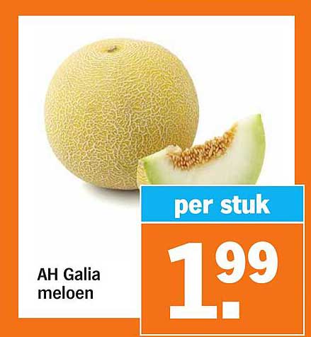 AH Galia meloen