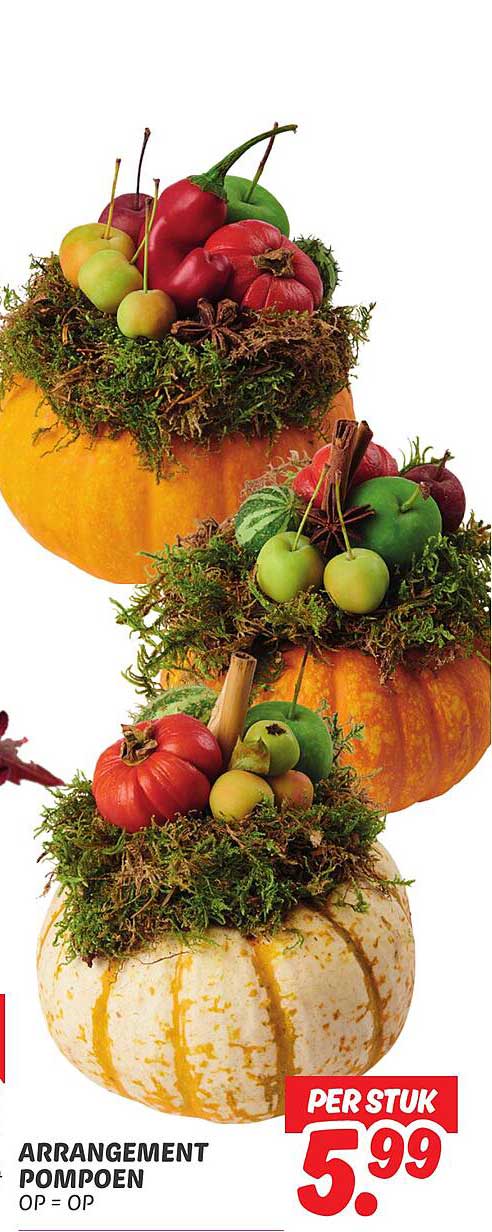 ARRANGEMENT POMPOEN