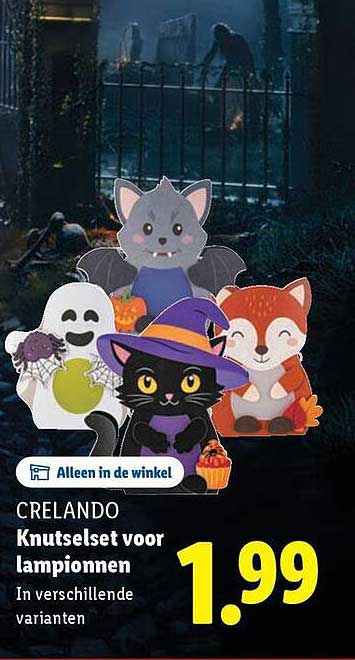Crelando Knutselset voor lampionnnen