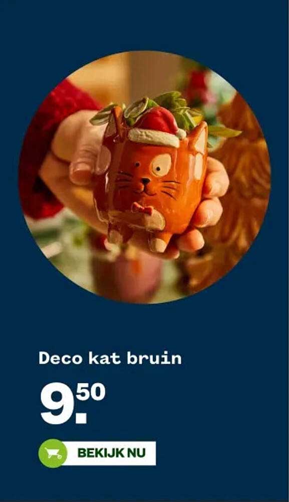 Deco kat bruin