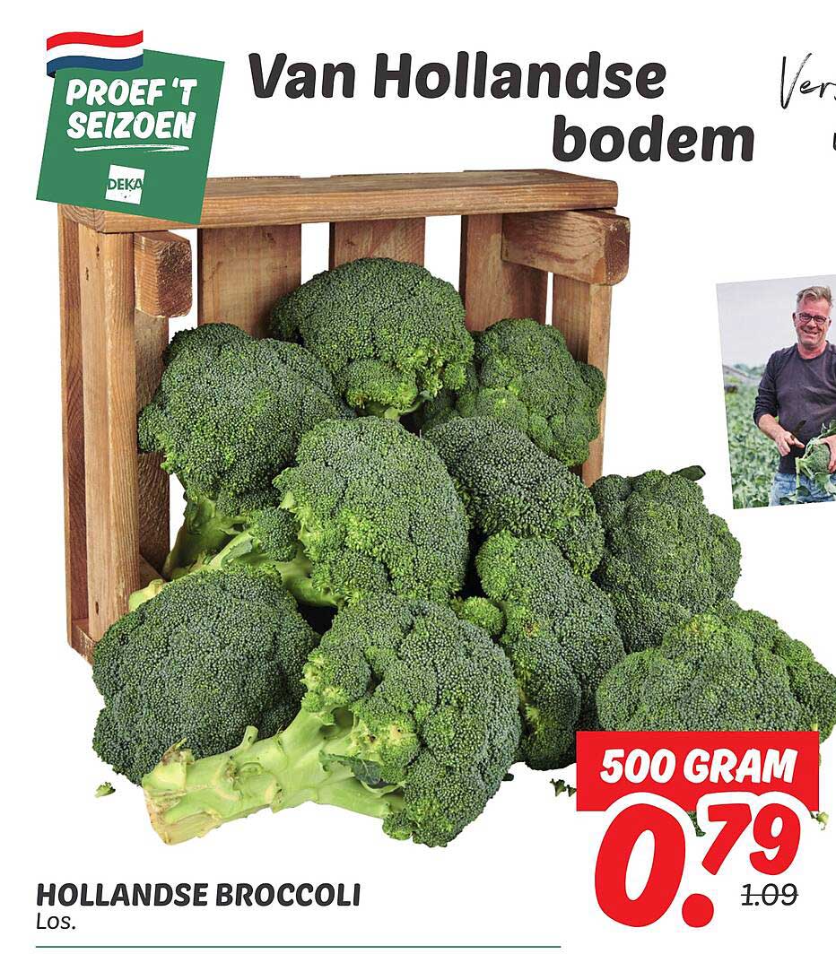 Hollandse broccoli Los.