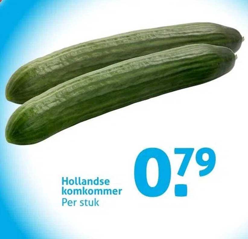 Hollandse komkommer