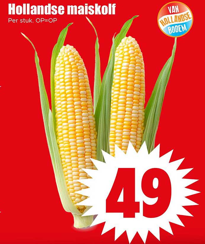 Hollandse maïskolf