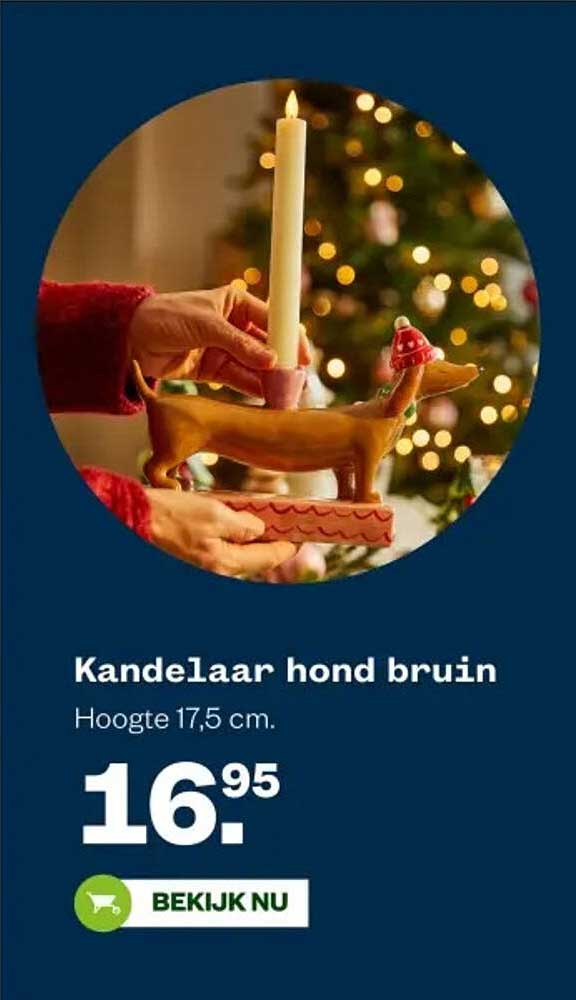Kandelaar hond bruin