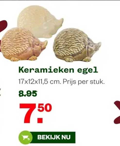 Keramieken egel