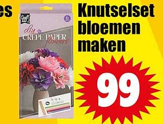 Knutselset bloemen maken