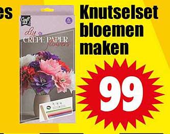 Knutselset bloemen maken