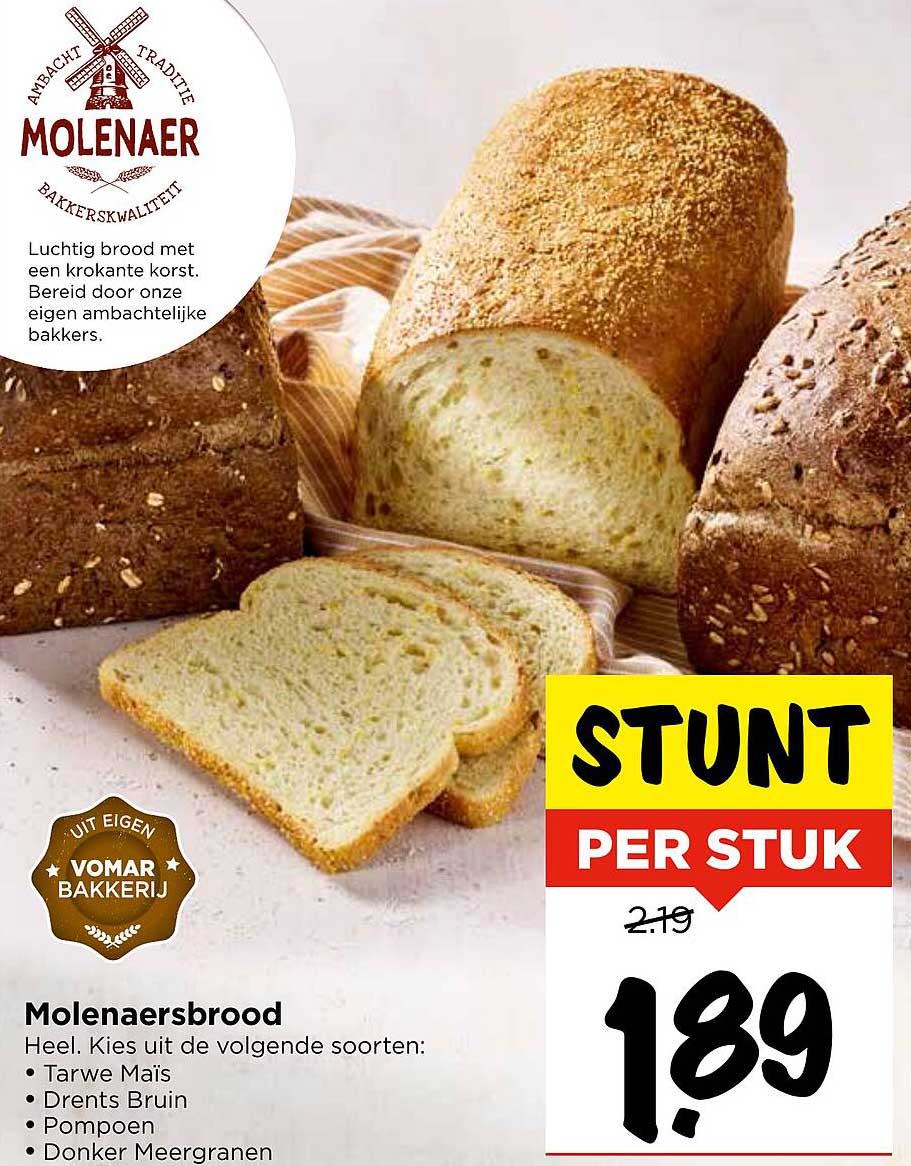 Molenaar's brood