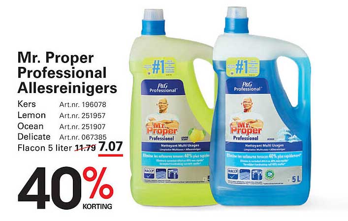 Mr. Proper Professional Allesreinigers