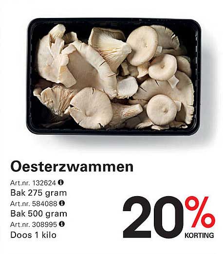 Oesterzwammen